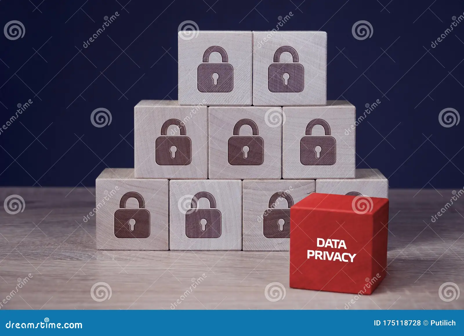 Privacy Personal Data Protection Concept Business Technology Internet Networking 175118728